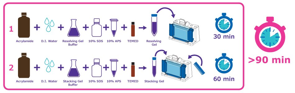 Traditional Hand Cast Workflow SDS-PAGE 겔의 전통적인 핸드 캐스팅 워크플로 인포그래픽 - 단계가 더 많이 필요하며, 경화 시간이 90분 이상 걸리는 것을 보여줍니다.
