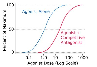Competitive (Reversible) Antagonist Activity Graph showing the general activity of competitive (reversible) antagonists compared to agonists alone.