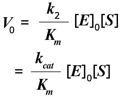 Initial Velocity (V0) Reaction Equation The equation to determine initial velocity (V0) of a reaction. V0 equals k subscript 2 divided by Km times the concentration of E subscript 0 times the concentration of S equals  k subscript cat divided by Km times the concentration of E subscript 0 times the concentration of S.