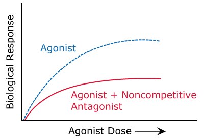 Noncompetitive (Irreversible) Antagonist Activity Graph showing the general activity of noncompetitive (irreversible) antagonists compared to agonists alone.
