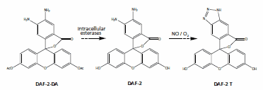 Dye figure 1 Dye figure 1