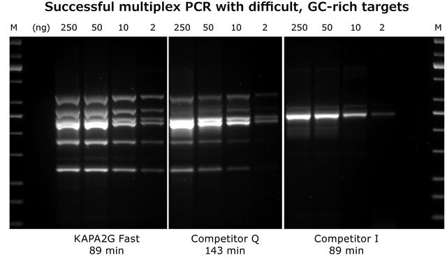 kapa2g fast multiplex pcr kit Figure 2: KAPA2G Fast Multiplex PCR Kit: 6-plex multiplex PCR with the KAPA2G Fast Multiplex PCR Kit, Competitor Q and Competitor I using the same cycling conditions (30 cycles).