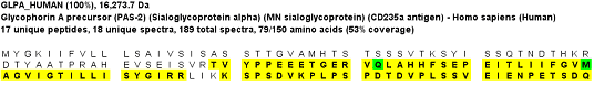 Glycophorin A, before deglycosylation Glycophorin A, before deglycosylation