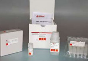 Protein fluorescent labeling kits available in our catalog Protein fluorescent labeling kits available in our catalog