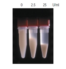 Viscosity reduction by Benzonase E. coli cells Viscosity reduction by Benzonase E. coli cells
