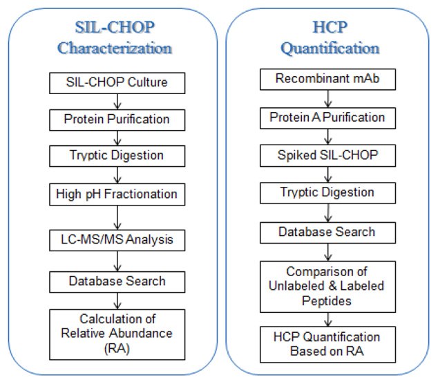 HCP Characterization and Quantification Workflow HCP Characterization and Quantification Workflow
