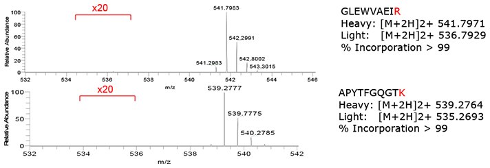 isotopic-incorporation-analysis isotopic-incorporation-analysis