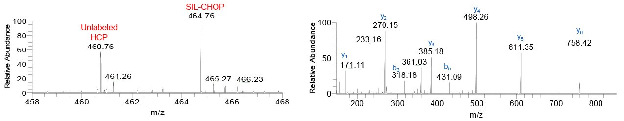 MS spectrum showing unlabeled GLFIIDDK (m/z 460.76) and SIL-GLFIIDDK (m/z 464.76) derived from Peroxiredoxin-1, PRDX1, in the AEX-purified sample spiked with SIL-CHOP, and corresponding MS/MS spectrum.brary. MS spectrum showing unlabeled GLFIIDDK (m/z 460.76) and SIL-GLFIIDDK (m/z 464.76) derived from Peroxiredoxin-1, PRDX1, in the AEX-purified sample spiked with SIL-CHOP, and corresponding MS/MS spectrum.brary.