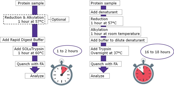 Development of a Simple and Rapid Digestion Protocol for Proteomics Sample Preparation Development of a Simple and Rapid Digestion Protocol for Proteomics Sample Preparation