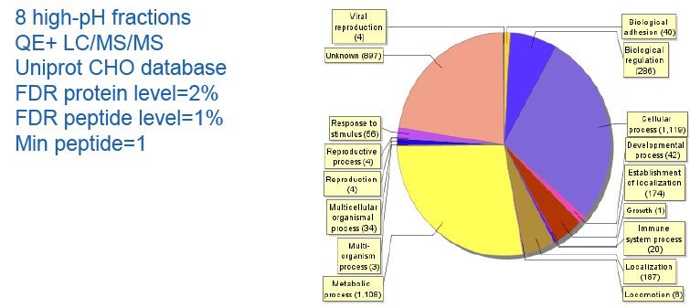 The Gene Ontology biological process terms of identified SIL-CHO proteins. The Gene Ontology biological process terms of identified SIL-CHO proteins.