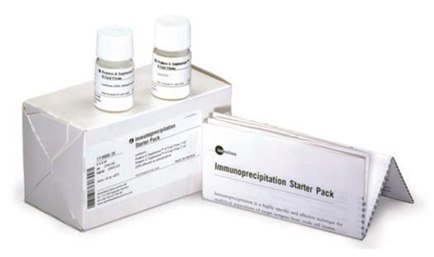 Immunoprecipitation Starter Pack for immunoprecipitation of a wide range of antibodies with  different binding selectivities. Immunoprecipitation Starter Pack for immunoprecipitation of a wide range of antibodies with  different binding selectivities.
