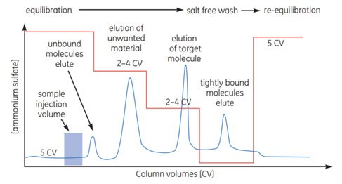 HIC step elution HIC step elution