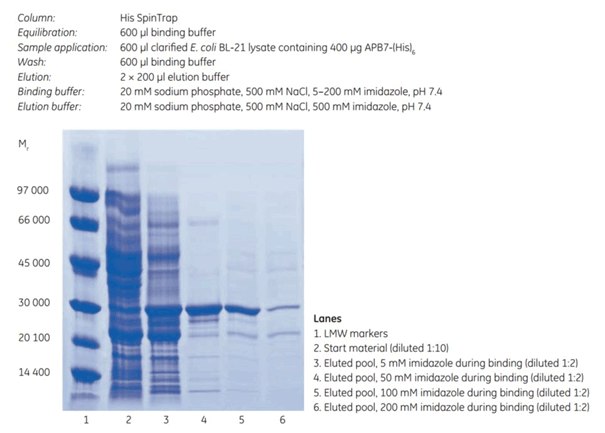 His SpinTrap SDS-PAGE His SpinTrap SDS-PAGE