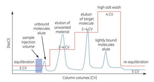 IEX step elution IEX step elution