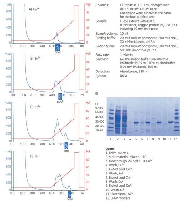 Purification of APB7 Purification of APB7