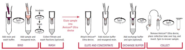 The Amicon® Pro Purification System Workflow