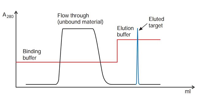 troubleshooting-affinity-chromatography-1 Target elutes as a sharp peak. Satisfactory result