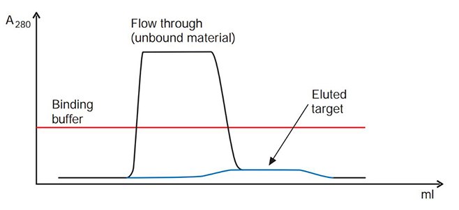 troubleshooting-affinity-chromatography-2 Target is a broad, low peak that elutes while binding buffer is being applied