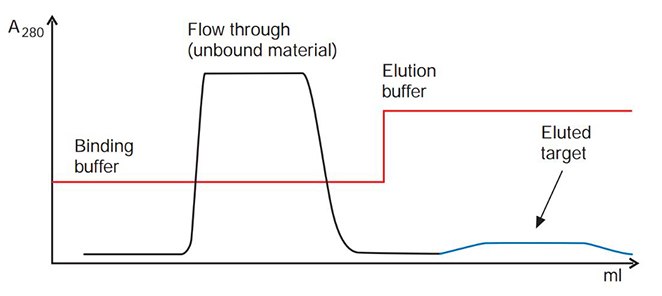 troubleshooting-affinity-chromatography-3 Target elutes in a broad, low peak
