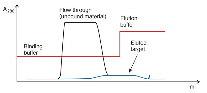 troubleshooting-affinity-chromatography-5 Some of the target molecule elutes as a broad