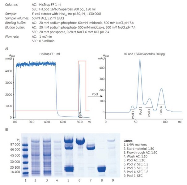 Two-step purification of a high-molecular-weight Two-step purification of a high-molecular-weight