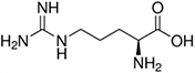 Arginine, Arg, R Arginine, Arg, R