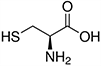 Cysteine, Cys, C Cysteine, Cys, C