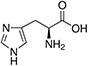 Histidine, His, H Histidine, His, H