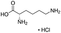 Lysine, Lys, K Lysine, Lys, K