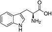 Tryptophan, Trp, W Tryptophan, Trp, W
