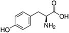 Tyrosine, Tyr, Y Tyrosine, Tyr, Y