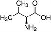Valine, Val, V Valine, Val, V