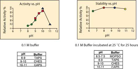 Graphs showing pH Optimum of Alkaline Phosphatase Graphs showing pH Optimum of Alkaline Phosphatase