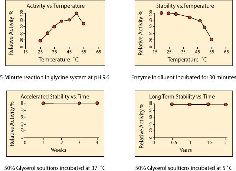 Temperature Effects on the Activity and Stability of Alkaline Phosphatase Temperature Effects on the Activity and Stability of Alkaline Phosphatase