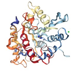 Structure of glycosylated human glutaminyl cyclase Structure of glycosylated human glutaminyl cyclase