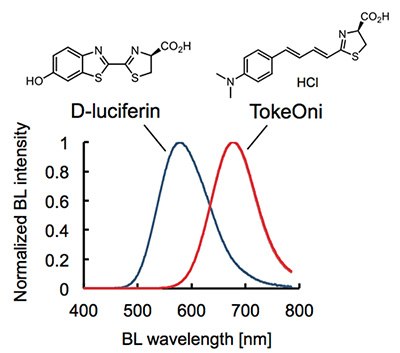 Chemical structure and bioluminescence spectrum of TokeOni Chemical structure and bioluminescence spectrum of TokeOni