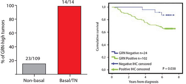 grn-expression grn-expression