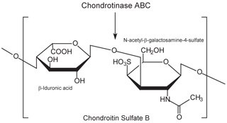 Chondroitin sulfate B (dermatan sulfate) consists of an alternating copolymer β-iduronic acid-(1‑3)-N-acetyl-β-galactosamine-4‑sulfate. Chondroitin sulfate B (dermatan sulfate) consists of an alternating copolymer β-iduronic acid-(1‑3)-N-acetyl-β-galactosamine-4‑sulfate.