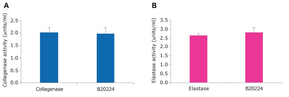 Collagenase-Elastase tissue dissociation blend (<a href="/product/sigma/b20224">B20224</a>) has similar collagenase and elastase activity compared to individual enzymes. A.) Enzyme activity in collagenase (<a href="/product/sigma/c5138">C5138</a>) alone or B.) in Elastase (<a href="/product/sigma/e7885">E7885</a>) alone versus that of Collagenase-DNase I blend. Bar graph of collagenase activity. Collagenase and the Collagenase-Elastase blend have an activity of around 2 units/ml. This is not statistically different as per a t test≤ 0.01. B. Bar graph of elastase activity. Collagenase and the Collagenase-Elastase blend have an activity of around 3 units/ml. This is not statistically different as per a t test≤ 0.01.