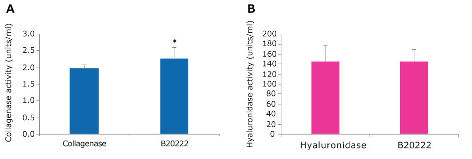 Collagenase-Hyaluronidase tissue dissociation blend (<a href="/product/sigma/b20222">B20222</a>) has similar collagenase and hyaluronidase activity compared to individual enzymes. A.) Enzyme activity in collagenase (<a href="/product/sigma/c5138">C5138</a>) alone or B.) in Hyaluronidase (<a href="/product/sigma/h3506">H3506</a>) alone versus that of Collagenase-DNase I blend. *ttest ≤ 0.05 A. Bar graph of collagenase activity. Collagenase has an activity of around 2 units/ml, while the Collagenase-Hyaluronidase blend has activity of over 2 units/ml. This is statistically different as per a t test≤ 0.01. B. Bar graph of hyaluronidase activity. Hyaluronidase and the Collagenase-Hyaluronidase blend have an activity of around 140 units/ml. This is not statistically different as per a t test≤ 0.01.