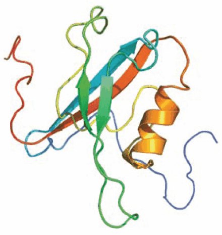 Interleukin 16 (IL-16), also know as lymphocyte chemoattractant factor LCF, is a proinflammatory cytokine that is chemotactic for CD4+ T lymphocytes, monocytes, and eosinophils. Interleukin 16 (IL-16), also know as lymphocyte chemoattractant factor LCF, is a proinflammatory cytokine that is chemotactic for CD4+ T lymphocytes, monocytes, and eosinophils.