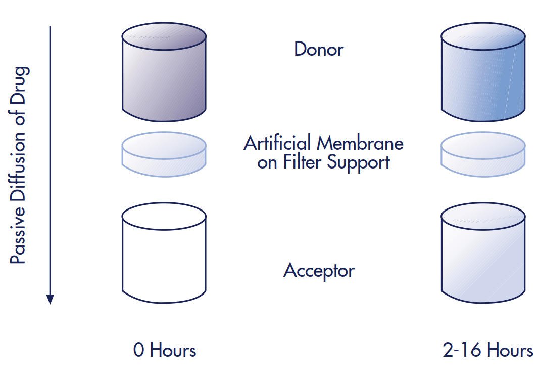 Individual Donor/Acceptor Well Assembly Before and After Incubation