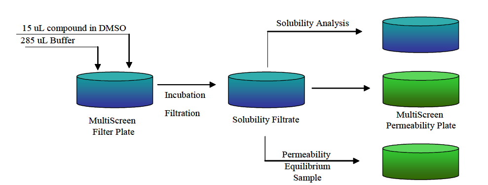 Schematic-Combined-Solubility-Figure3 Schematic of a Combined Solubility and PAMPA