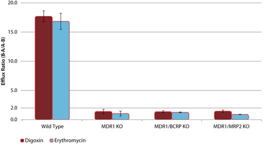 Efflux of P-gp Substrates in wild-type (WT) and MDR1 knockout (KO) cell lines Efflux of P-gp Substrates in wild-type (WT) and MDR1 knockout (KO) cell lines