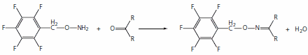 Reaction of PFBHA with aldehyde or ketone to form an oxime  Reaction of PFBHA with aldehyde or ketone to form an oxime