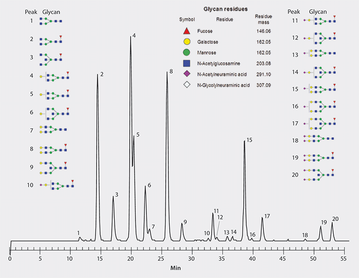 cgrams Separation of Procainamide Labeled Human IgG Glycans