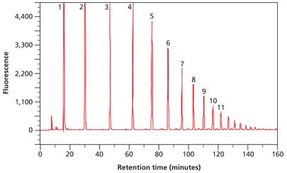 partially-hydrolyzed-2-ab-labeled-dextran-ladder Separation of partially hydrolyzed 2‑AB labeled Dextran Ladder by normal phase HPLC
