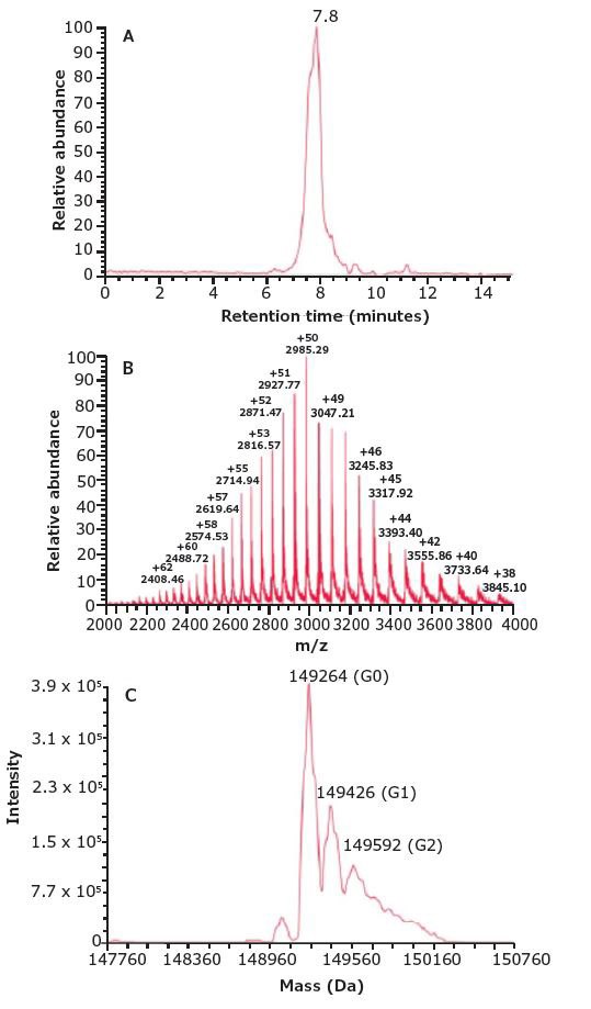 SEC-MS Analysis of Parent mAb. SEC-MS Analysis of Parent mAb.