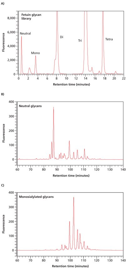 separation-of-neutral-and-acidic-glycans Separation of neutral and acidic glycans of fetuin by weak anion-exchange chromatography