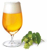 Calcium in Beer Beer Glass